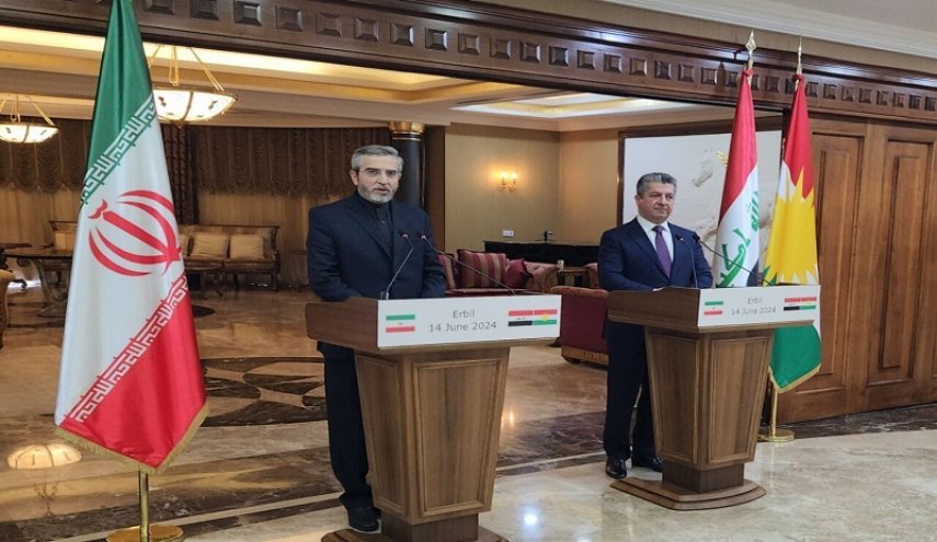  باقري كني: تعزيز التعاون الاقتصادي ضروري للاستقرار في المنطقة 