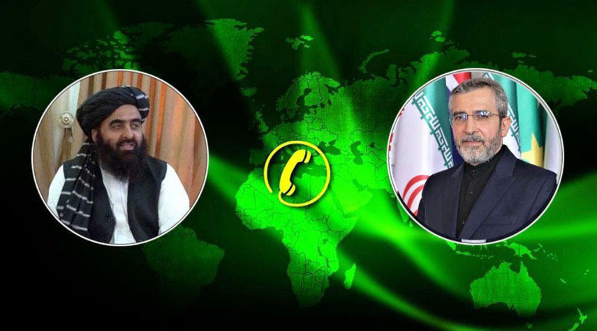 باقري كني يؤكد على اتخاذ قرار اسلامي مشترك لوقف الحرب على غزة