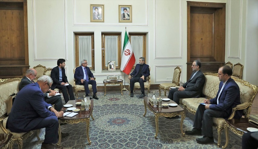 باقري كني: تصاعد وتيرة جرائم الكيان الصهيوني يشكل تهديدا للأمن في المنطقة والعالم