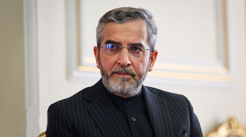  باقري: ايران عازمة على اتخاذ اي اجراء ضروري للذود عن امنها القومي 