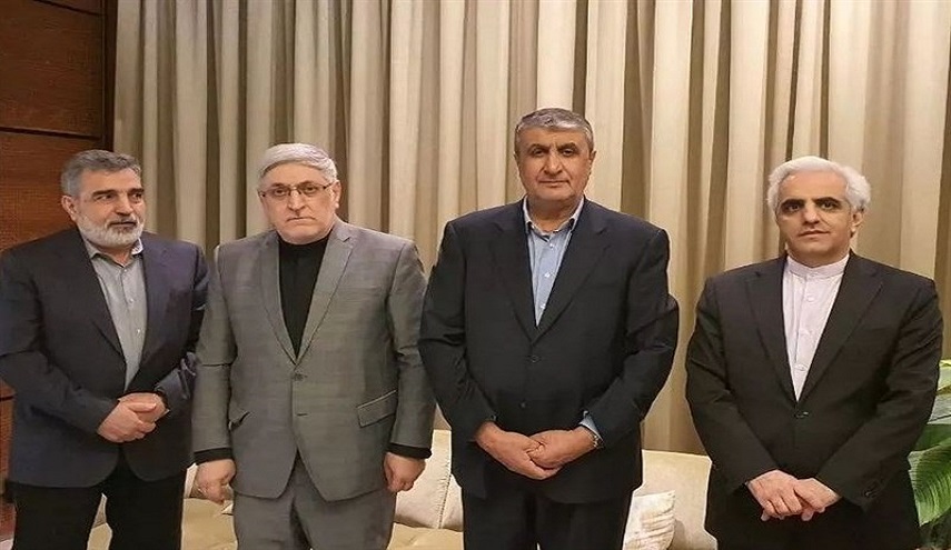  رئيس منظمة الطاقة الذرية الإيرانية يصل إلى فيينا 