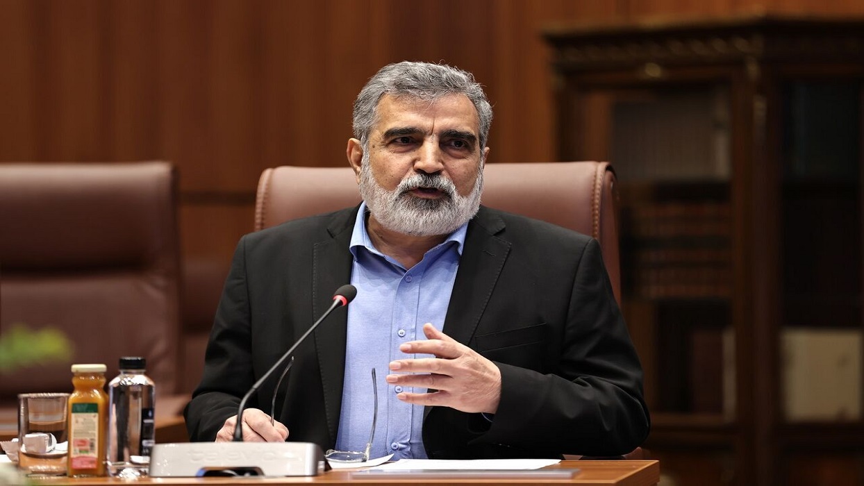 كمالوندي: لم تقع ضحايا جراء استهداف المنشآت النووية الايرانية