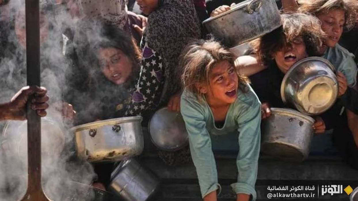  الأغذية العالمي: معظم الأسر في غزة بالكاد يتناولون وجبة واحدة يوميًا 