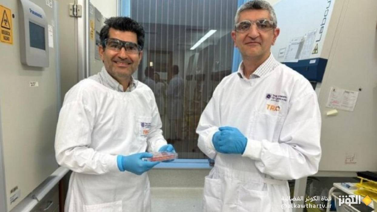 باستخدام الخلايا الجذعية ..باحثان إيرانيان ينتجان جلد الإنسان في المختبر