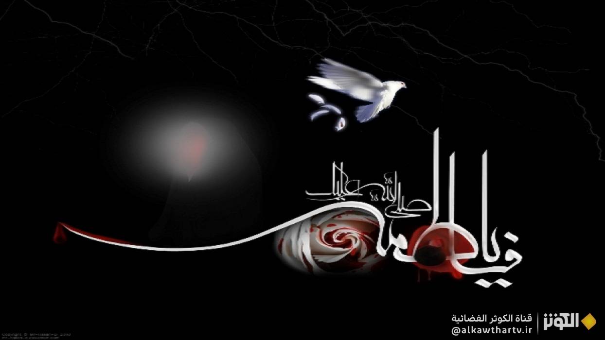  هـي بـضعةُ المختارِ