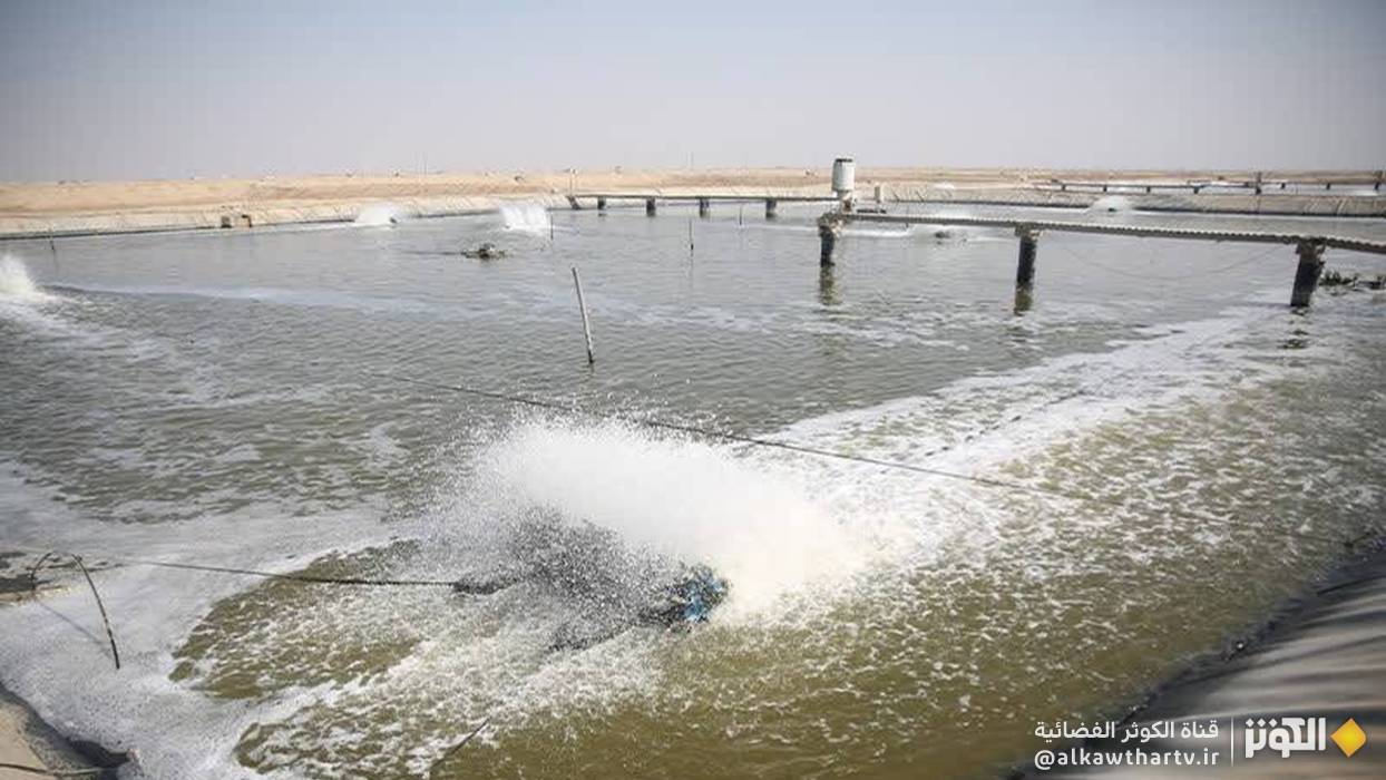 خرمشهر واحدة من المناطق الرئيسية لتربية الأحياء المائية في إيران